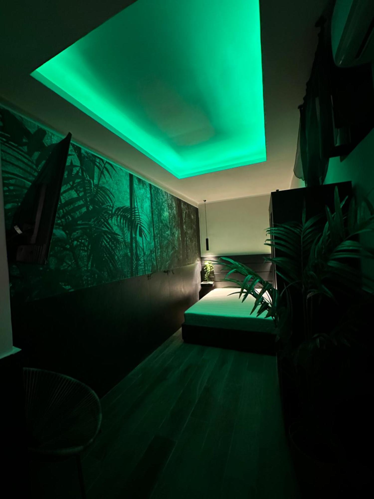 Falco Luxury Appartement