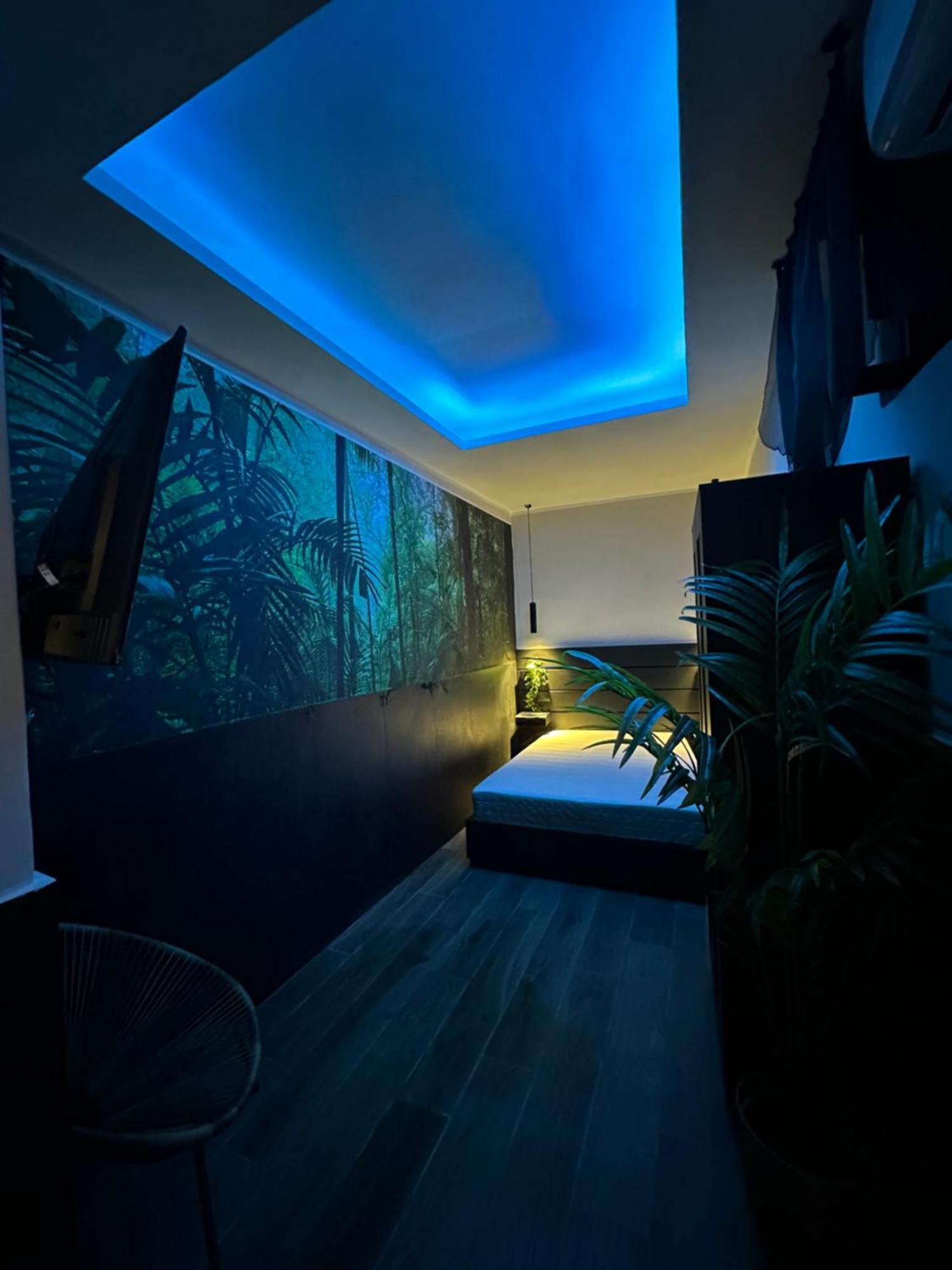 Falco Luxury Appartement